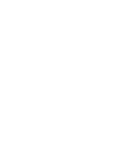 verbeterdwonen-schoorstenen-icoon_white_h280